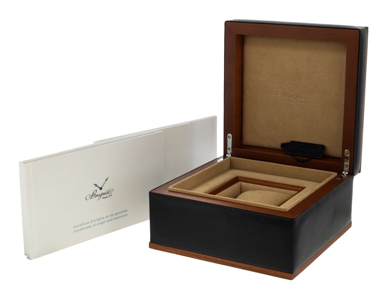 Breguet Type XXI 3810ST/92/SZ9